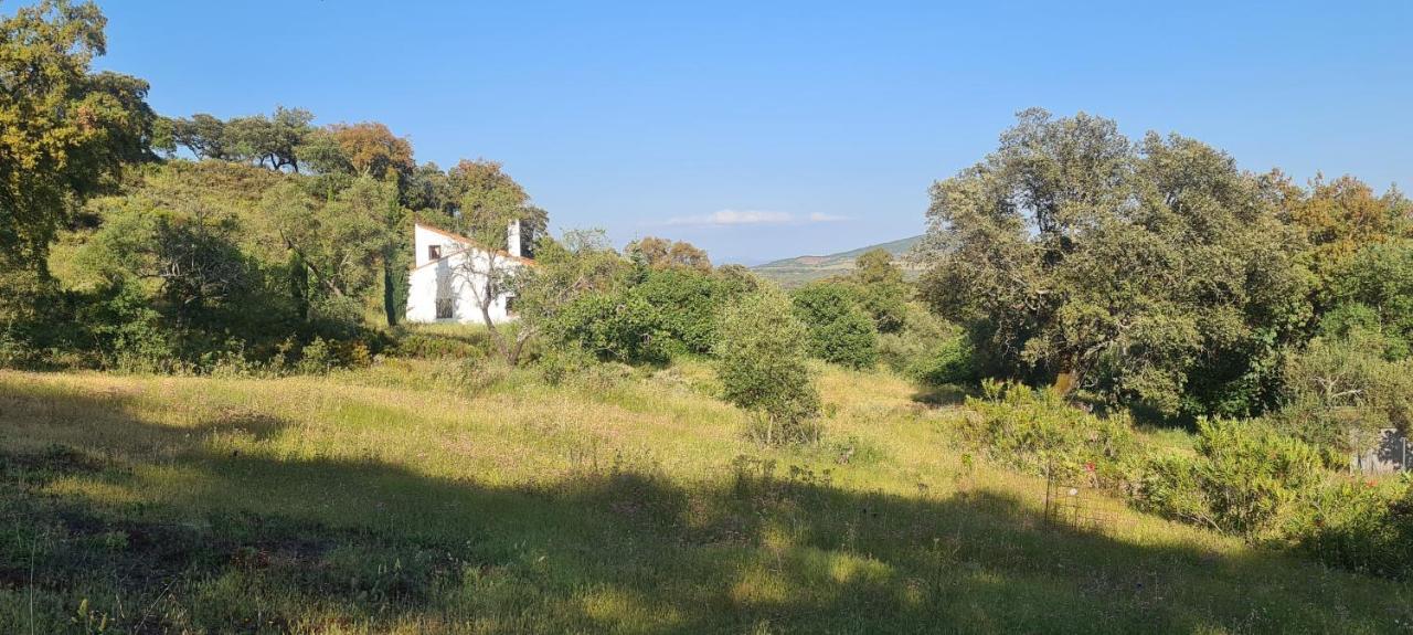 Loft Rural La Era 1 Lägenhet Aracena Exteriör bild